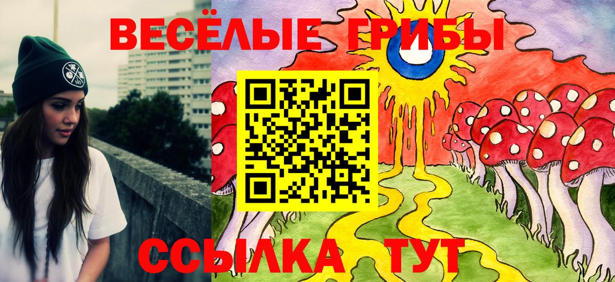 Псилоцибиновые грибы MAGIC MUSHROOMS  Вход с VPN  Псилоцибиновые грибы Cubensis  Керчь 