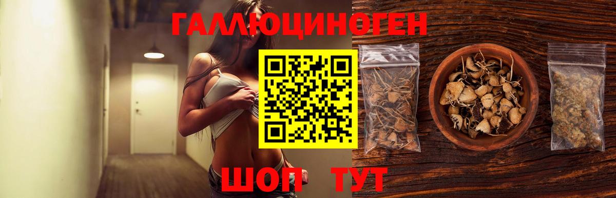 Псилоцибиновые грибы мицелий Керчь